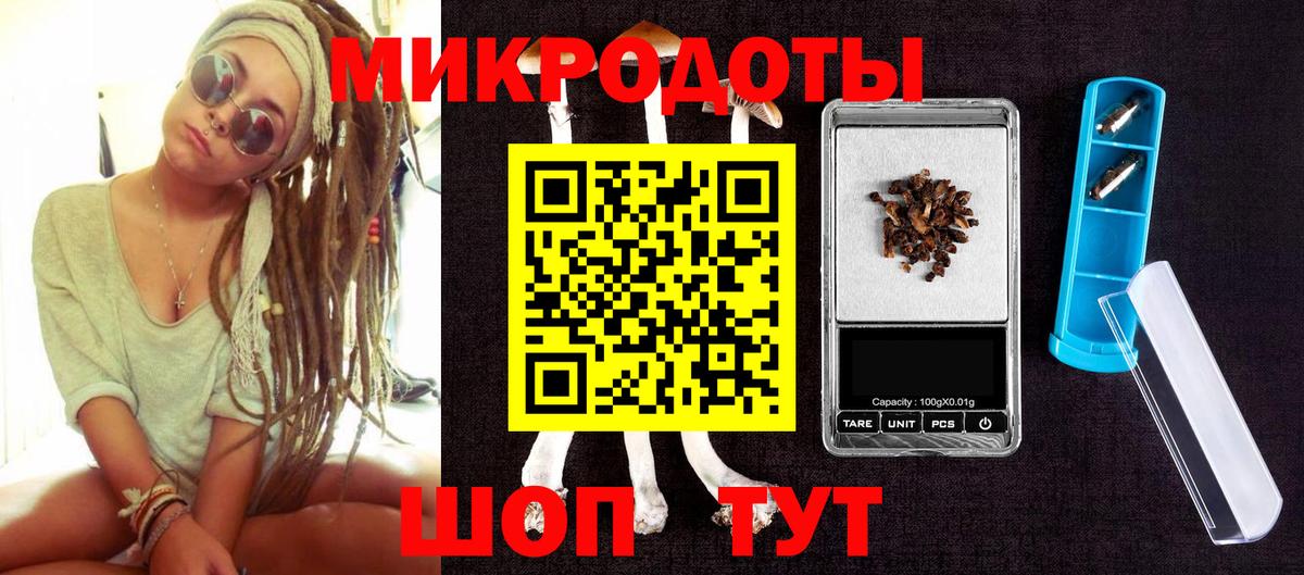 Советск  Псилоцибиновые грибы прущие грибы  Вход с VPN 